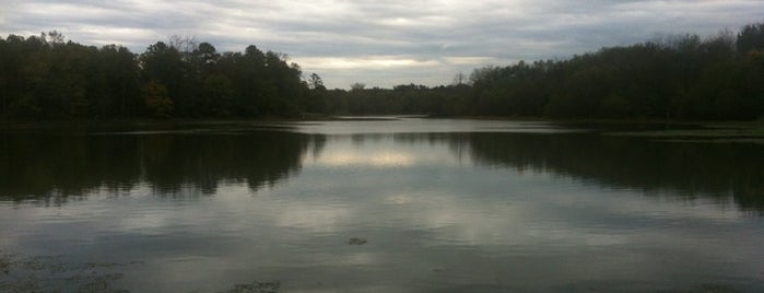 Lake Conestee Nature Park is one of Favorite Places in the Greenville Metro Area.