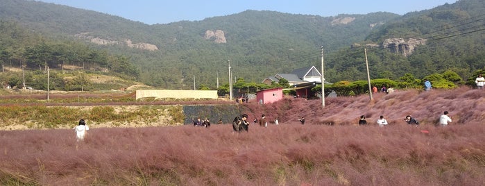 꽃객프로젝트 is one of Tempat yang Disukai Khai.