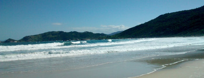Praia da Galheta is one of Tempat yang Disukai Giovo.