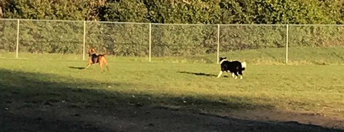 Northern Tail Dog Park is one of East Lansing Haunts.