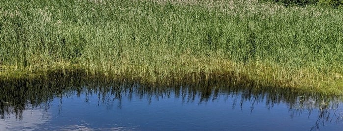 Řežabinec is one of Koupání jižní Čechy - koupaliště, rybníky, řeky.