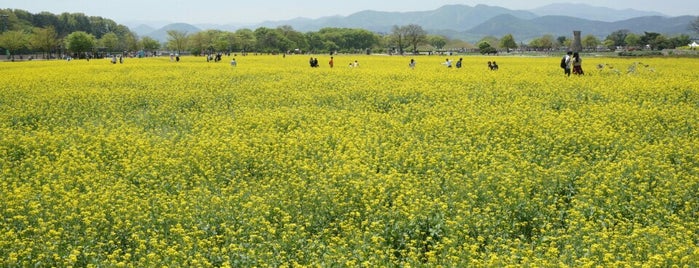 월성 is one of 경주 / 慶州 / Gyeongju.