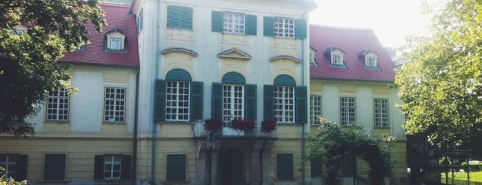 Schloss Hunyadi is one of Tempat yang Disukai Stefan.