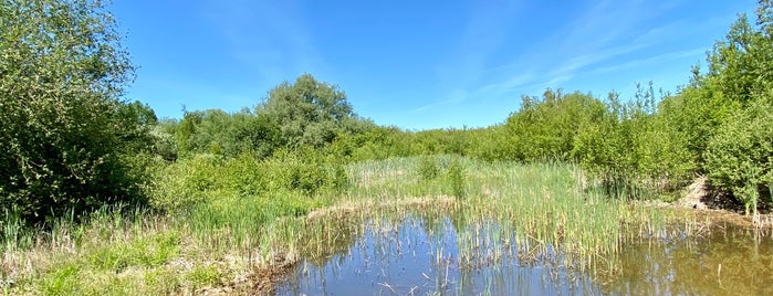 Marston Vale Country Park is one of Walks Near London.