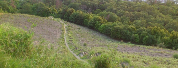 大文字山 火床 is one of 京都に旅行したらココに行く！.