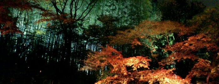 青蓮院門跡 is one of Kyoto.