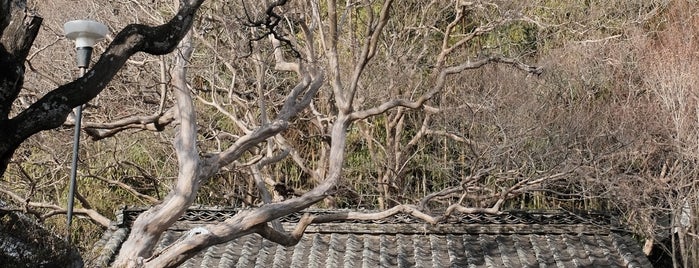 湯々庵 枇杷の湯 is one of Other JPN.