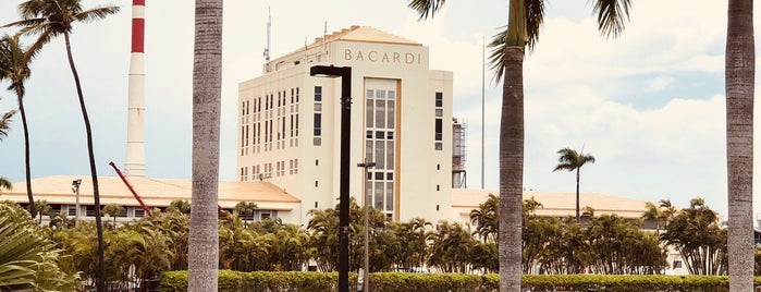 Bacardi Factory Bar is one of Puerto Rico.