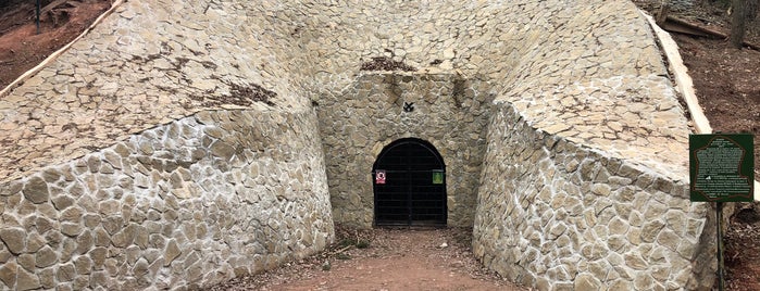 Přírodní památka Orty is one of Doly, lomy, jeskyně (CZ).