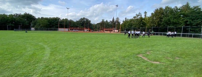 Svoboda park is one of Softball fields.
