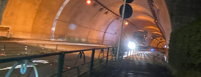 五日市トンネル is one of 昭島、福生、羽村、あきる野、日の出、瑞穂.