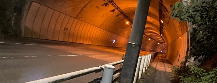 網代トンネル is one of 昭島、福生、羽村、あきる野、日の出、瑞穂.