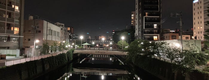 新品川橋 is one of 東京橋 〜目黒川編〜.