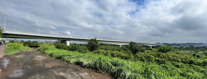稲城大橋 is one of 多摩川.