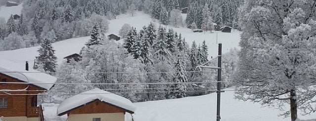 Hotel Le Chamois Les Diablerets is one of Travel.