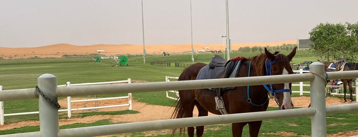 Nova Equestrain Resort is one of Riyadh.