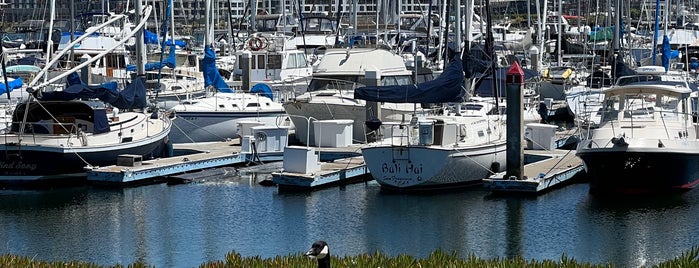 Marina Village Yacht Harbor is one of Alameda Haunts.