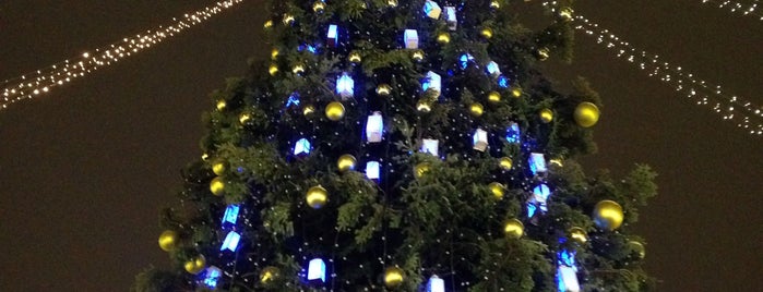 Новорічна ялинка на Софійській площі is one of Hooraさんのお気に入りスポット.