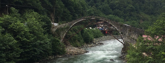 çamlıhemşin tarihi şenyuva köprüsü is one of Karadeniz.