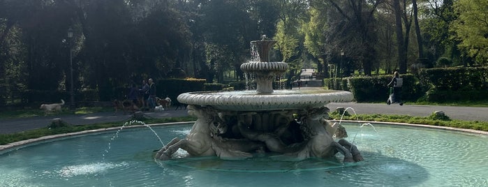 Fontana dei Cavalli Marini is one of Roma.