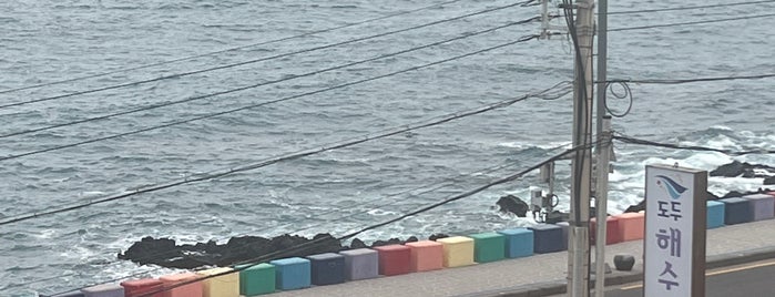 Dodu Seawater park is one of Jeju.