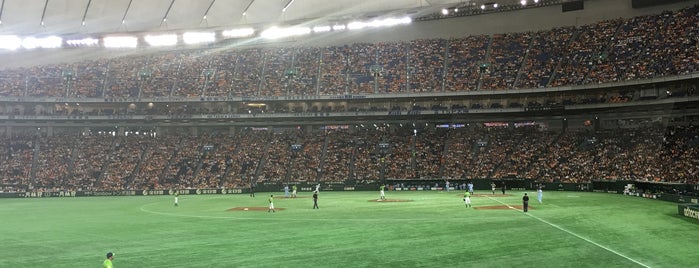 ビジターチーム応援席 is one of 野球場.