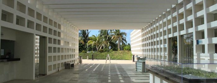 Museo Maya de Cancún is one of Mexico 2016.