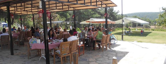 Parkorman Restaurant is one of Locais curtidos por Mutlu.