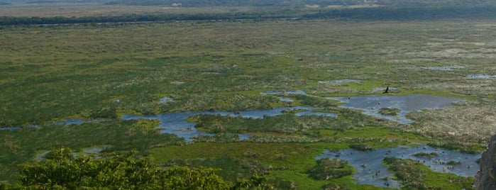 Parque Nacional Palo Verde is one of Costa Rica.