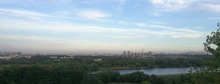 Смотровая площадка is one of Москва смотреть.