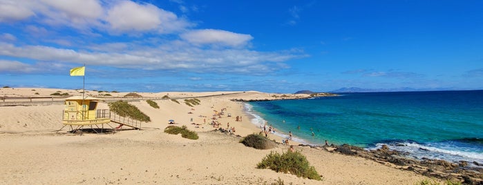 Playa Alzada is one of My Fuerteventura.