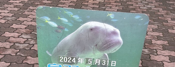 Toba Aquarium is one of 伊勢旅行.