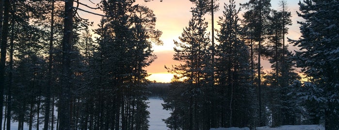 Paanajärvi National Park is one of Съездить.