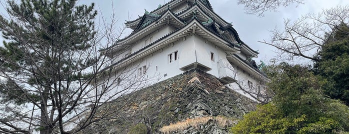 Wakayama Castle Tower is one of Japan Point of interest.