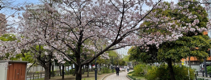 Shinjuku Park is one of VisitSpotL+ Ver10.