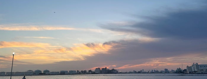 Chiba Port Park is one of สถานที่ที่ Yusuke ถูกใจ.