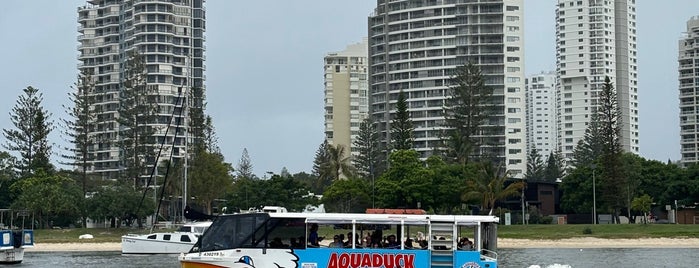 Aquaduck is one of Gold coast.