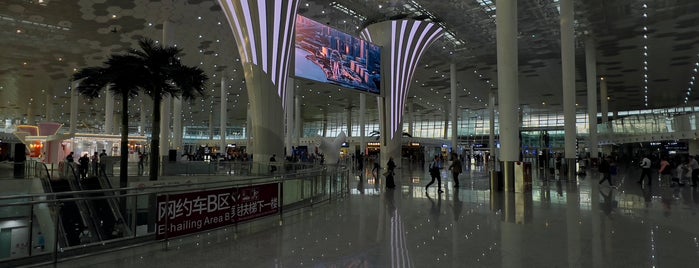 Shenzhen Bao’an International Airport (SZX) is one of Airports / 机场.