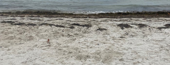 Beach at Founders Park is one of Miami.