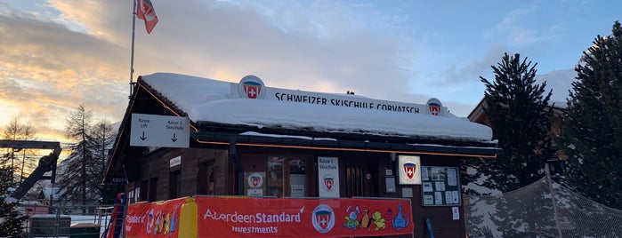Swiss Ski School St. Moritz is one of สถานที่ที่ Orietta ถูกใจ.