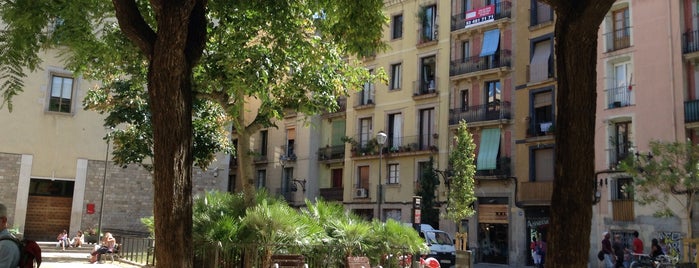 Plaça de Vicenç Martorell is one of Raval.