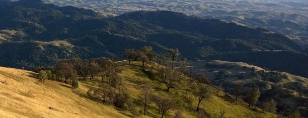 Mount Diablo State Park is one of I did it in 2015.