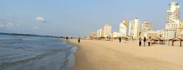 Banana Beach is one of Neve Tzedek.