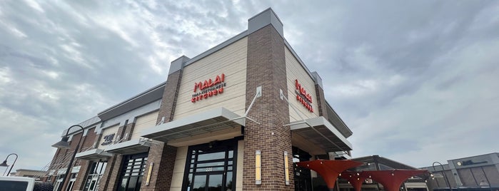 Malai Kitchen is one of DFW.