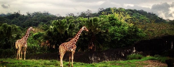 Taipei Zoo is one of Taiwanese Food!.