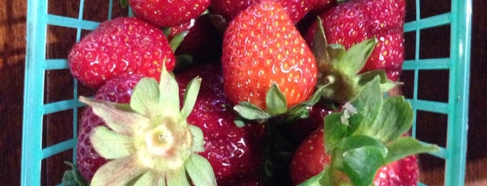 Watmaugh strawberries is one of Lieux qui ont plu à Mitch.