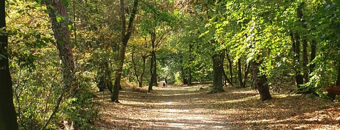 Bos Birkhoven is one of Petri : понравившиеся места.