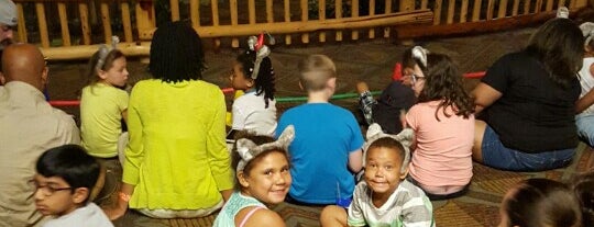 Cub Club at Great Wolf Lodge is one of Grapevine Lodge.