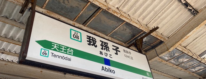 Abiko Station is one of 常磐線.
