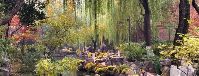 Baotu Spring Park is one of Worldbiz'in Beğendiği Mekanlar.